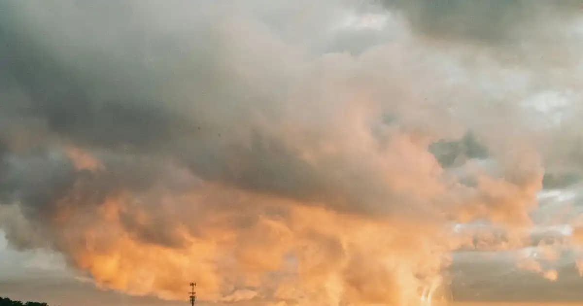 Deniz Temalı Tek Kişilik Pike Takımları ile Dekorasyonda Ferah ve Şık Bir Atmosfer Yaratın