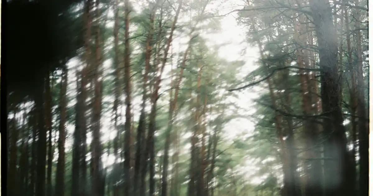 Elektronik Organizer ile Dekorasyonda Modern ve Şık Düzenleme Çözümleri