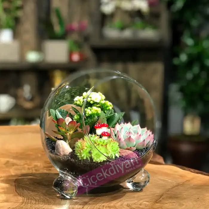 Fanus Çiçeklerle Dekorasyon: Estetik ve Pratik Çözüm Önerileri