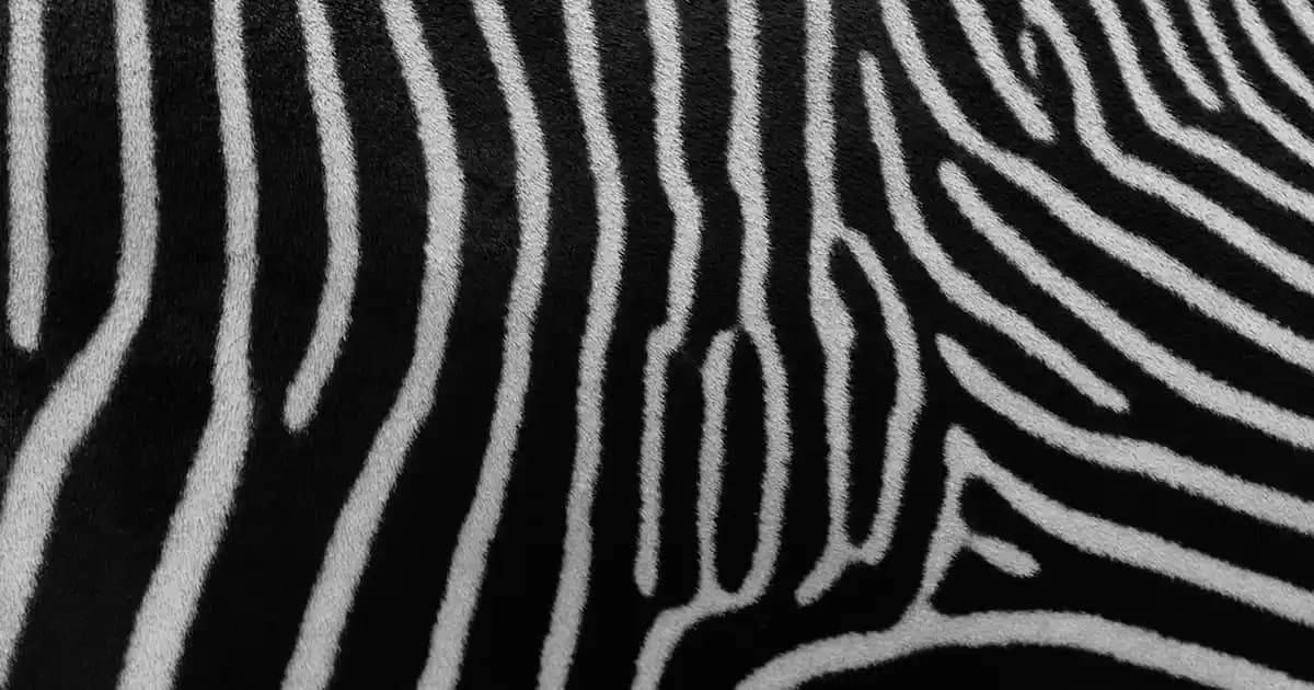 İngilizce Evde Tavşanlar İçin Banyo Paspası: Dekorasyon ve İşlevsellik Çözümleri