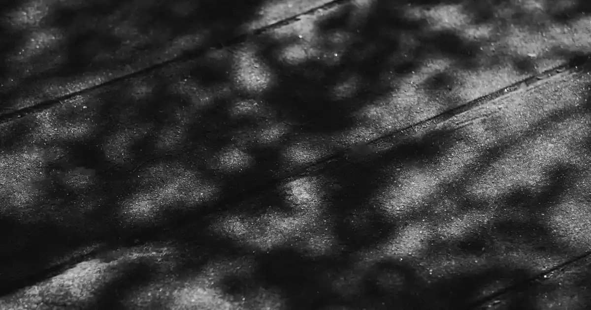 2025'te İskandinav Koltuk Takımlarıyla Evinizde Minimalizm ve Konforu Keşfedin