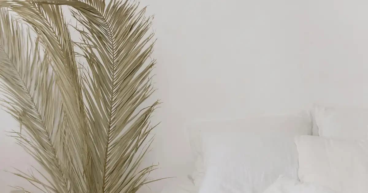 Karaca Contour Yemek Takımıyla Modern ve Şık Sofralar Yaratın