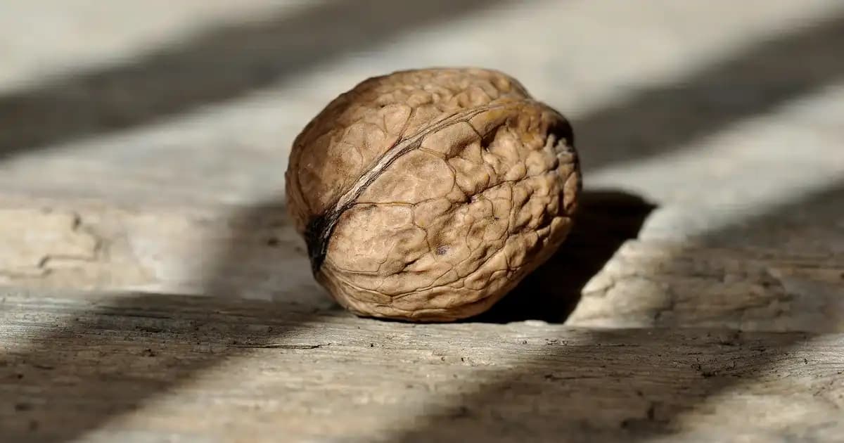 Karaca Tek Kişilik Yorganlar ile Yatak Odasında Şıklık ve Konfor Artışı