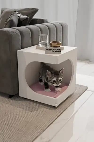 Kedi Evi Sehpa Dekorasyonda Sevimli ve İşlevsel Bir Çözüm Sunar