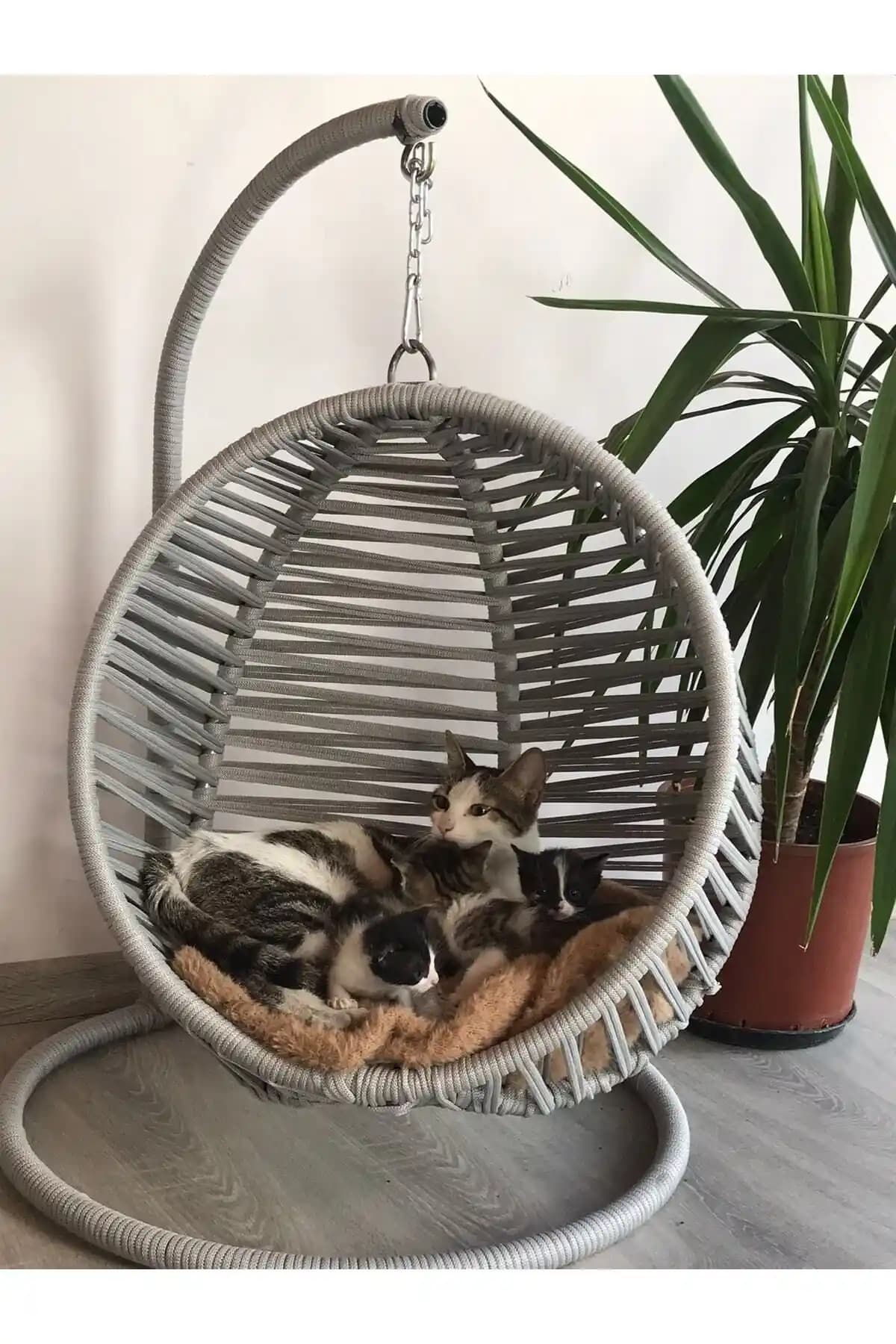 Kedi Hamağı ile Ev Dekorasyonunda Doğal ve Şık Çözümler