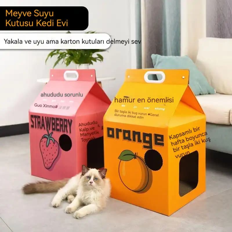 Kedi Kutusu Seçerken Dekorasyon ve İşlevselliği Birlikte Düşünmenin Önemi