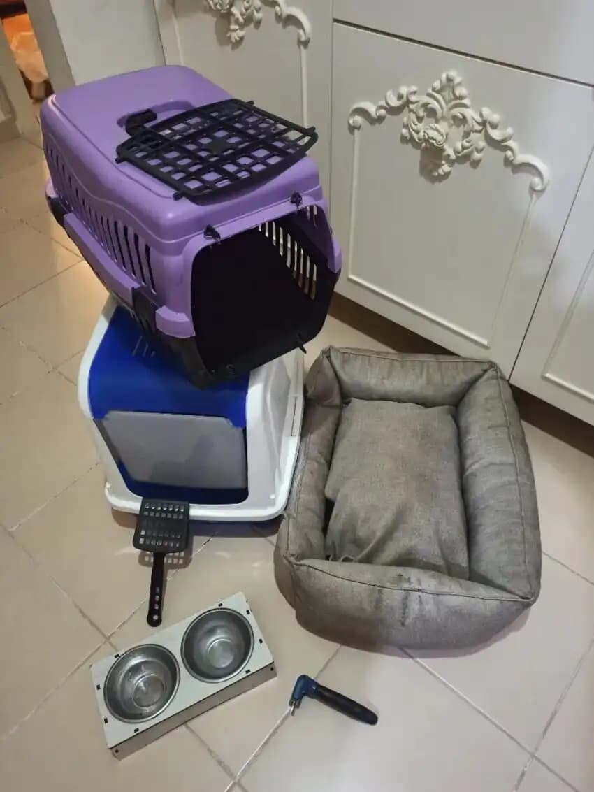 Kedi Malzemeleri ve Dekorasyon Uyumu: Şık ve Fonksiyonel Ev Tasarımı İpuçları