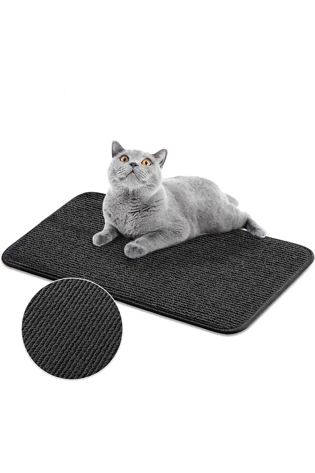 Kedi Matları Dekorasyonda Estetik ve İşlevselliği Bir Arada Sunar