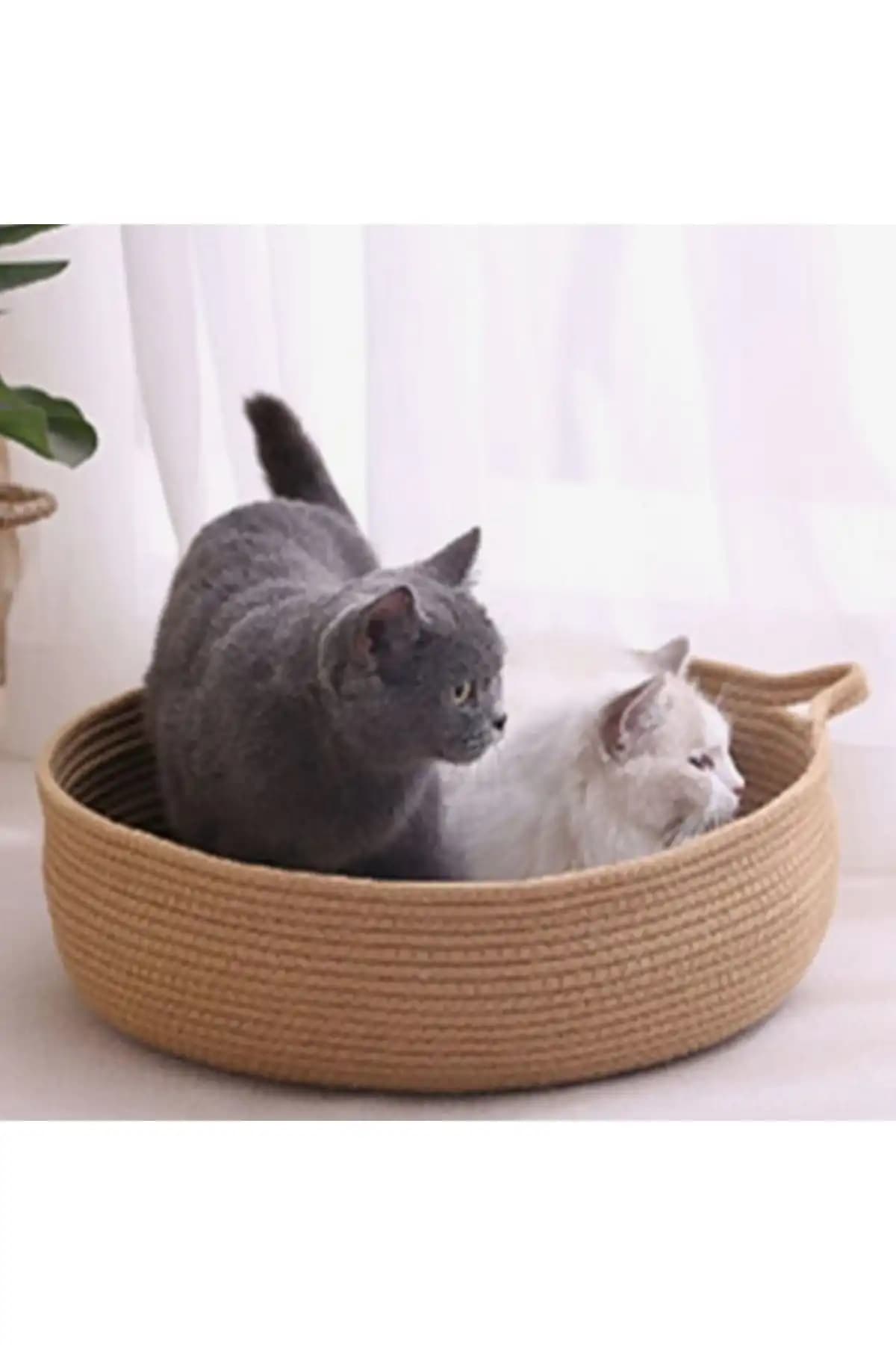 Kedi Sepetleri ile Ev Dekorasyonunda Şıklık ve İşlevselliği Bir Arada Sağlama Rehberi