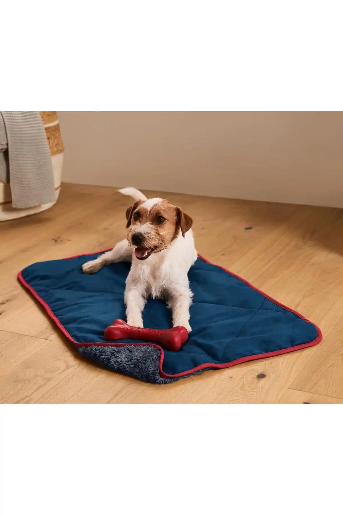 Köpek Battaniyesi ile Ev Dekorasyonunuza Şıklık ve Konfor Katın