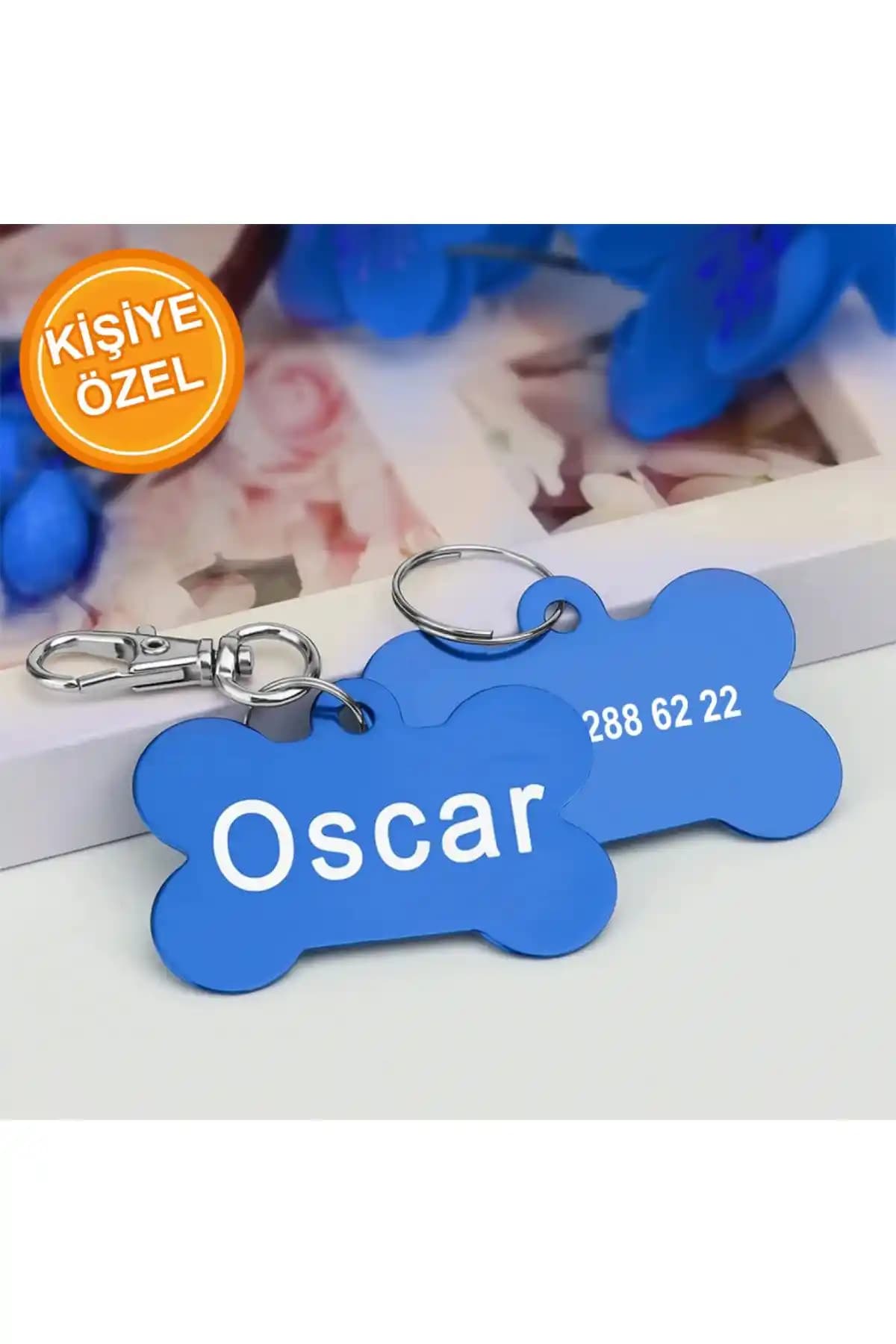 Köpek İsimliği Kullanımı ve Dekorasyonda Estetik Yaklaşımlar