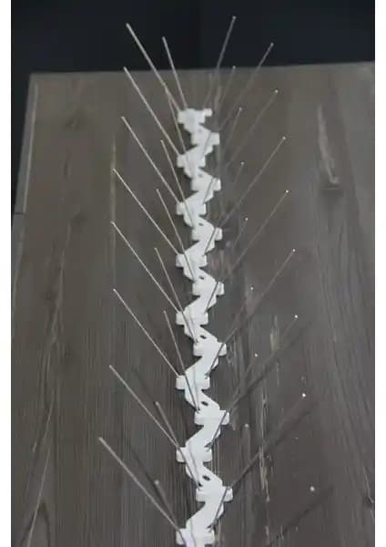 Kuş Savar Dekorasyon ve Bahçe Tasarımında Estetik ve Fonksiyonel Çözüm