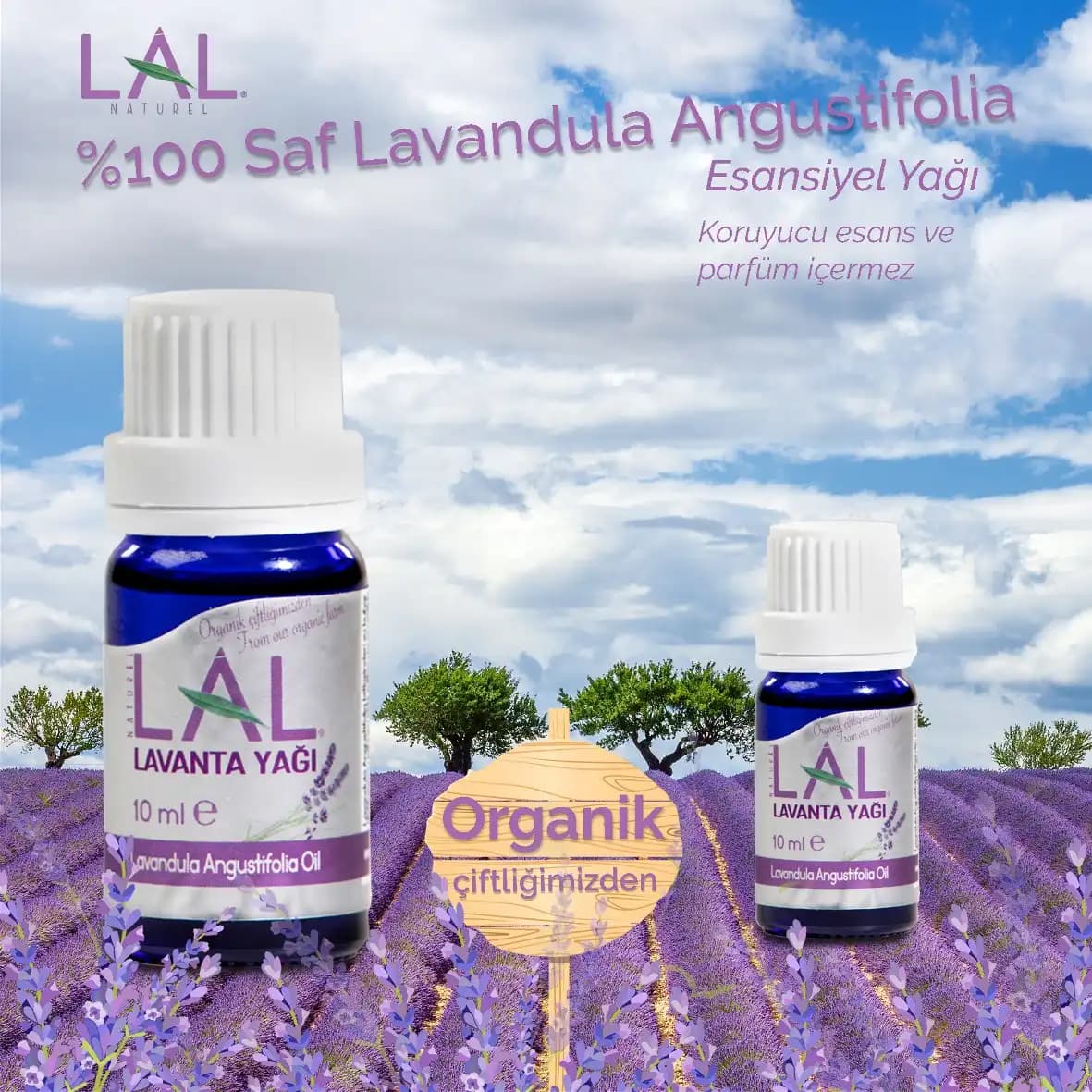 Lavanta ile Dekorasyonda Doğal ve Şık Bir Dokunuşun Yolları ve İpuçları
