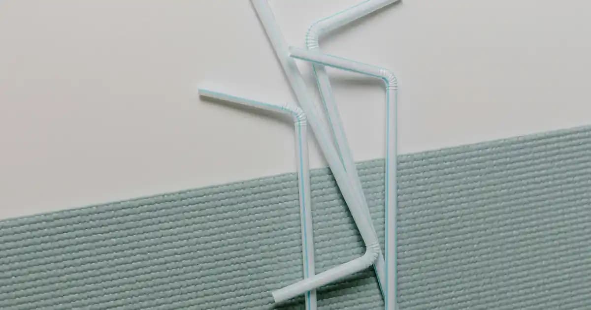 At Biblo Modelleri ve Dekorasyonda Kullanım Alanları Hakkında Detaylı Bilgi