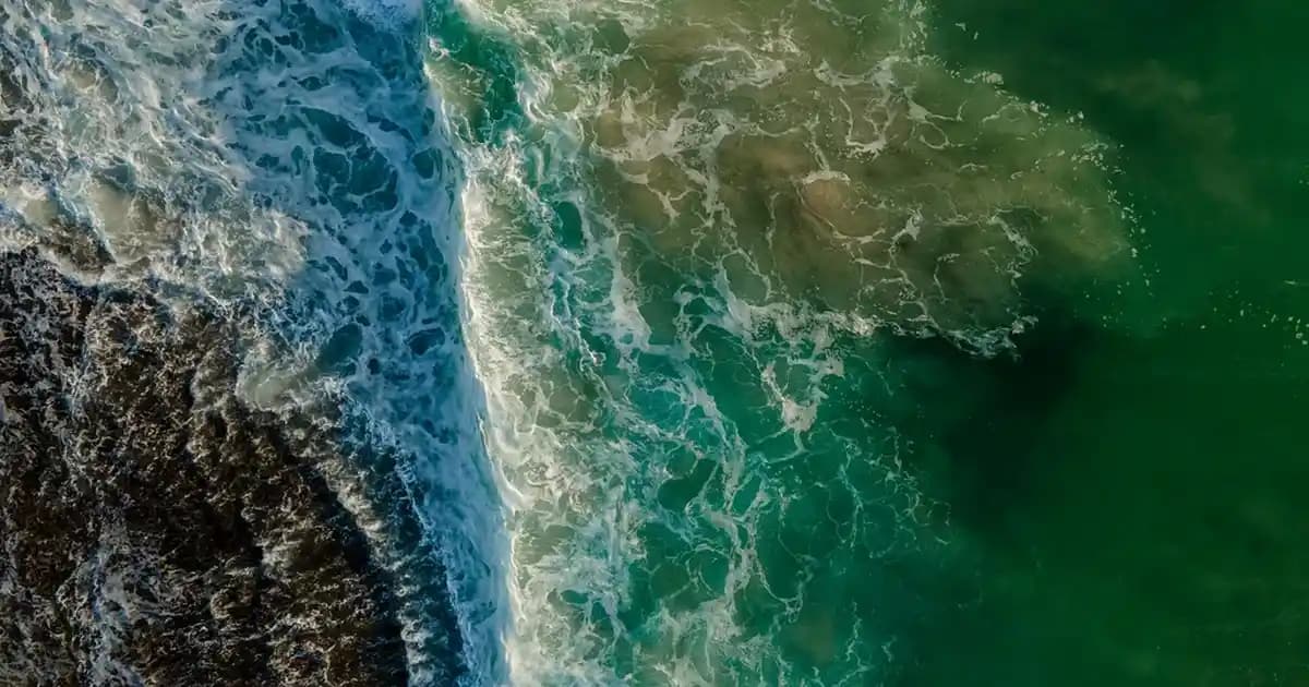 Ayakkabılık Dekorasyon İpuçları: İşlevsel ve Estetik Çözümlerle Giriş Alanınızı Güzelleştirin