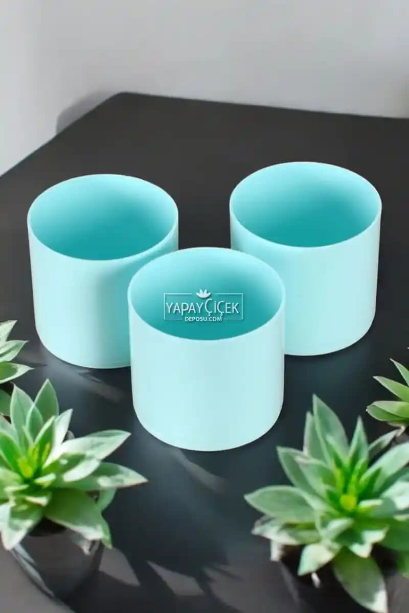 Dayanıklı 8 cm Kaktüs Saksısı Seçimi ve Kullanım İpuçları İç Mekan ve Dış Mekan Uygulamaları