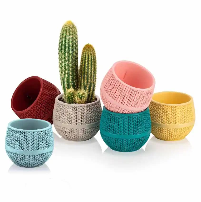 Dayanıklı ve Estetik Kaktüs Saksısı Seçimiyle Bahçe ve İç Mekân Dekorasyonunu Geliştirin