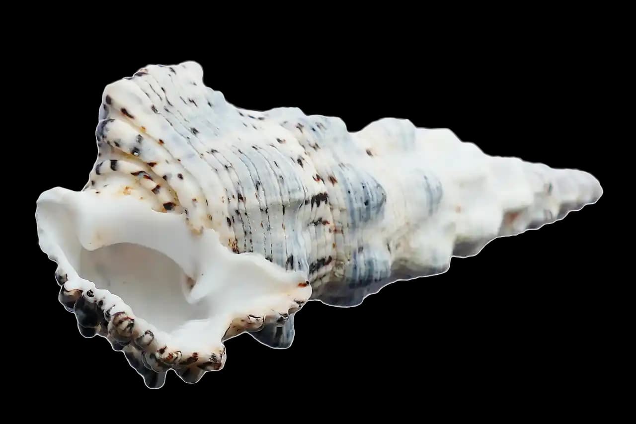 Doğadan İlham Alan Estetik ve Sürdürülebilir Yaşam Alanları Tasarımı