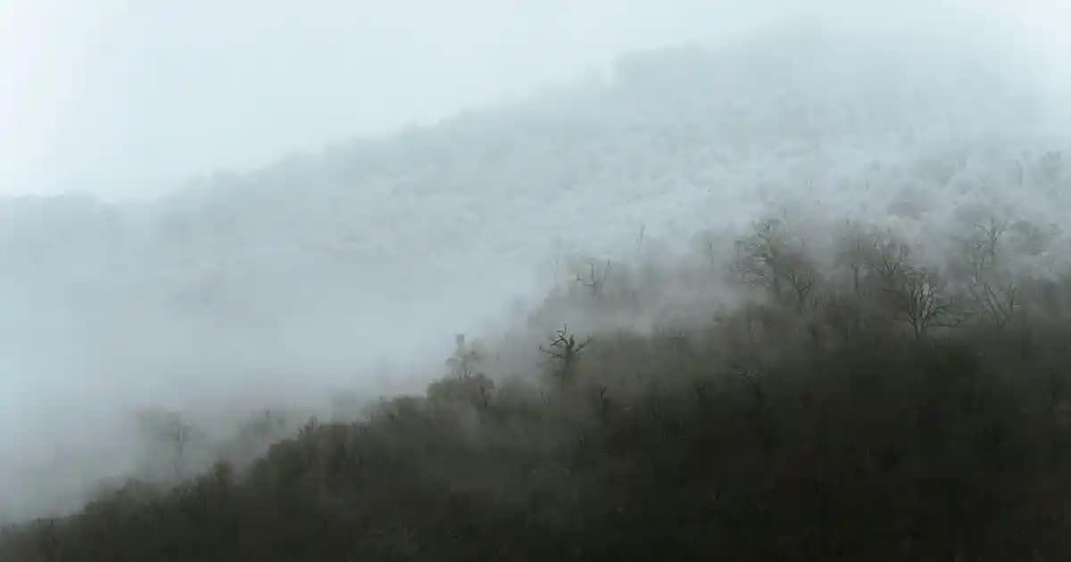 Doğadan İlham Alan Ev Dekor Kolyesi: Organik Formlar ve Doğal Malzemelerle Estetik Tasarımlar