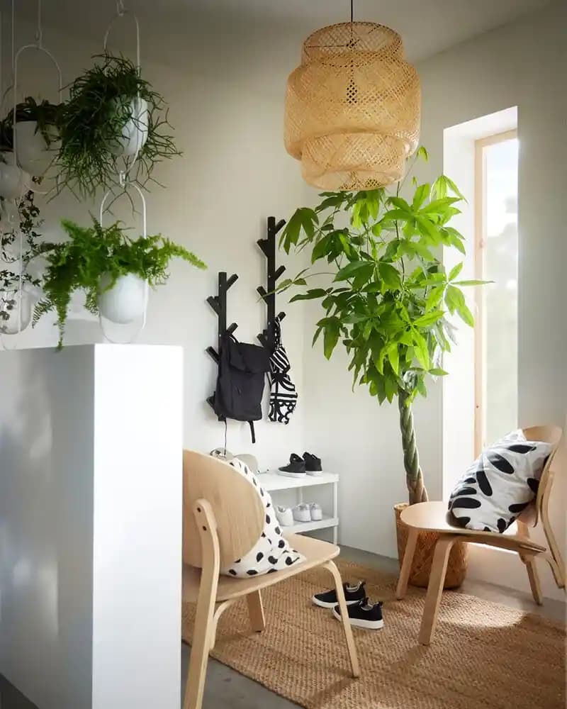 Doğadan İlham Alan Sakinleştirici Dekorasyonlar: Doğanın Gücü ve Estetiği