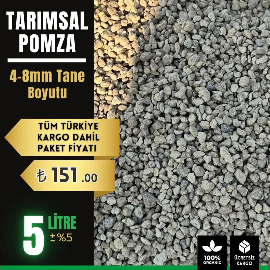 Doğal Pomza Taşı ile Saksı Düzeni ve Dekorasyon İpuçları