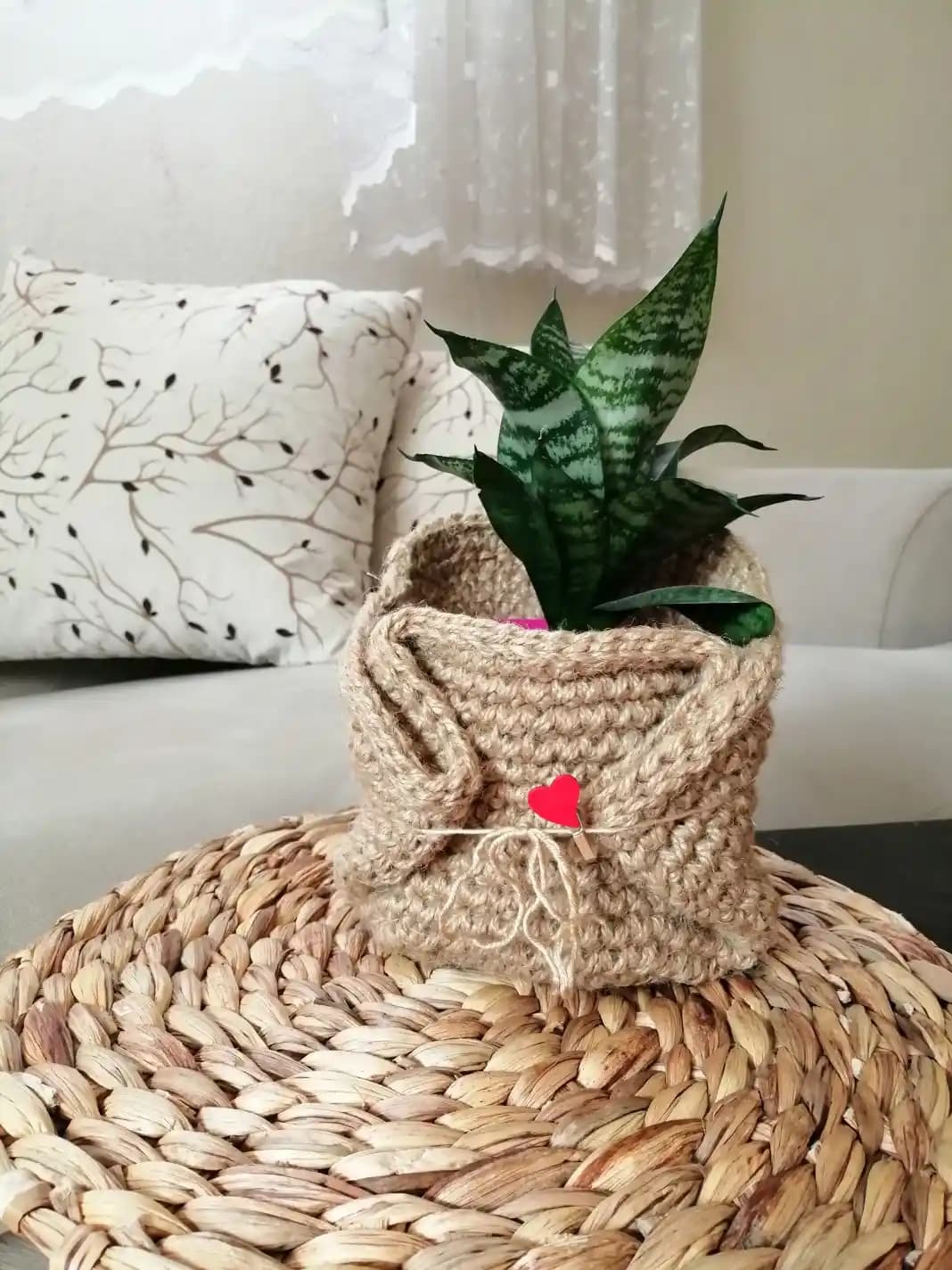 Ev Dekorasyonunda Dekoratif Saksılık Seçenekleri ve Stil İpuçları