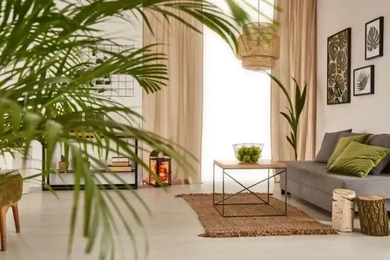 Ev Dekorasyonunda Doğal Malzemeler ve Meyveliklerle Sürdürülebilirlik Yaklaşımları