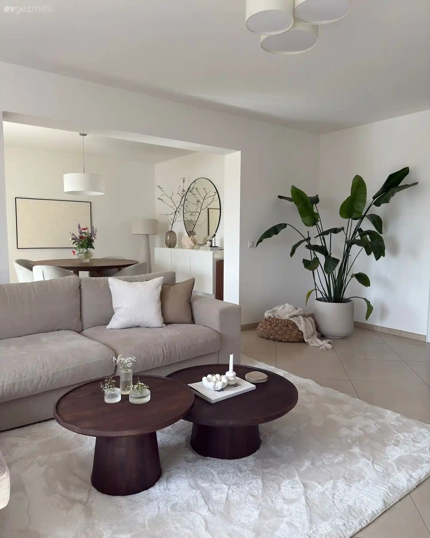 Ev Dekorasyonunda Güncel Trendler ve Renk Konforu ile Şık ve Konforlu Mekanlar