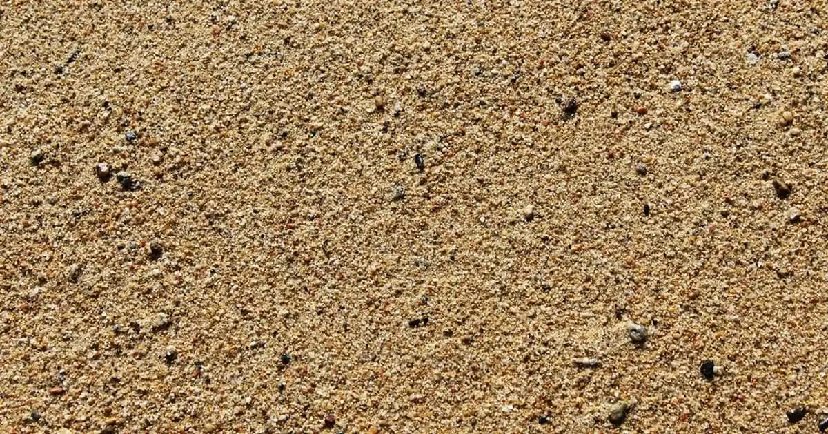 Ev Dekorasyonunda Porselen Çay Tabağı Seçimi ve Dekoratif Kullanım İpuçları