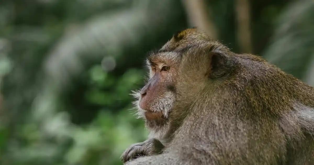 Ev Dekorasyonunda Şık Mumluklar: Estetik ve Fonksiyonelliğin Buluşması