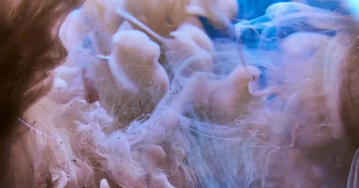 Ev Tekstili Bornoz Seçiminde Dikkat Edilmesi Gereken Temel Kriterler ve İpuçları