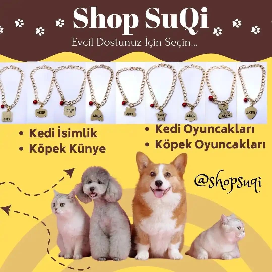 Evcil Köpek Dekoratif Aksesuar Kolyeleri: Şıklık ve Fonksiyonellik Bir Arada