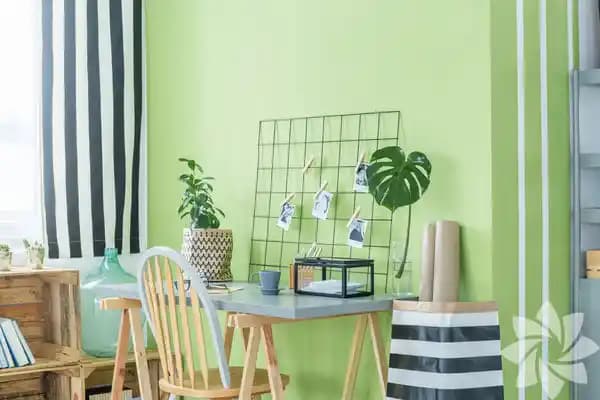 Evde Huzur Yaratmak İçin Dekorasyon Rehberi: Renkler, Malzemeler ve Düzen Tavsiyeleri