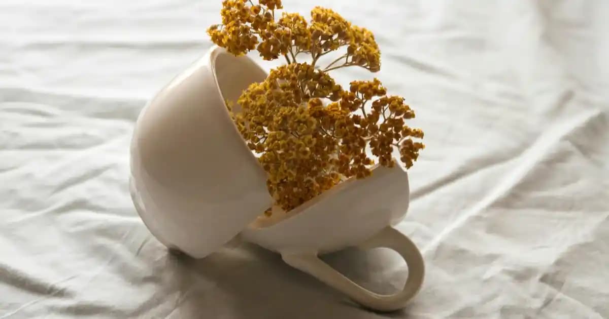 Fincan Seçimi ve Dekorasyonda Şık Kullanım İpuçları