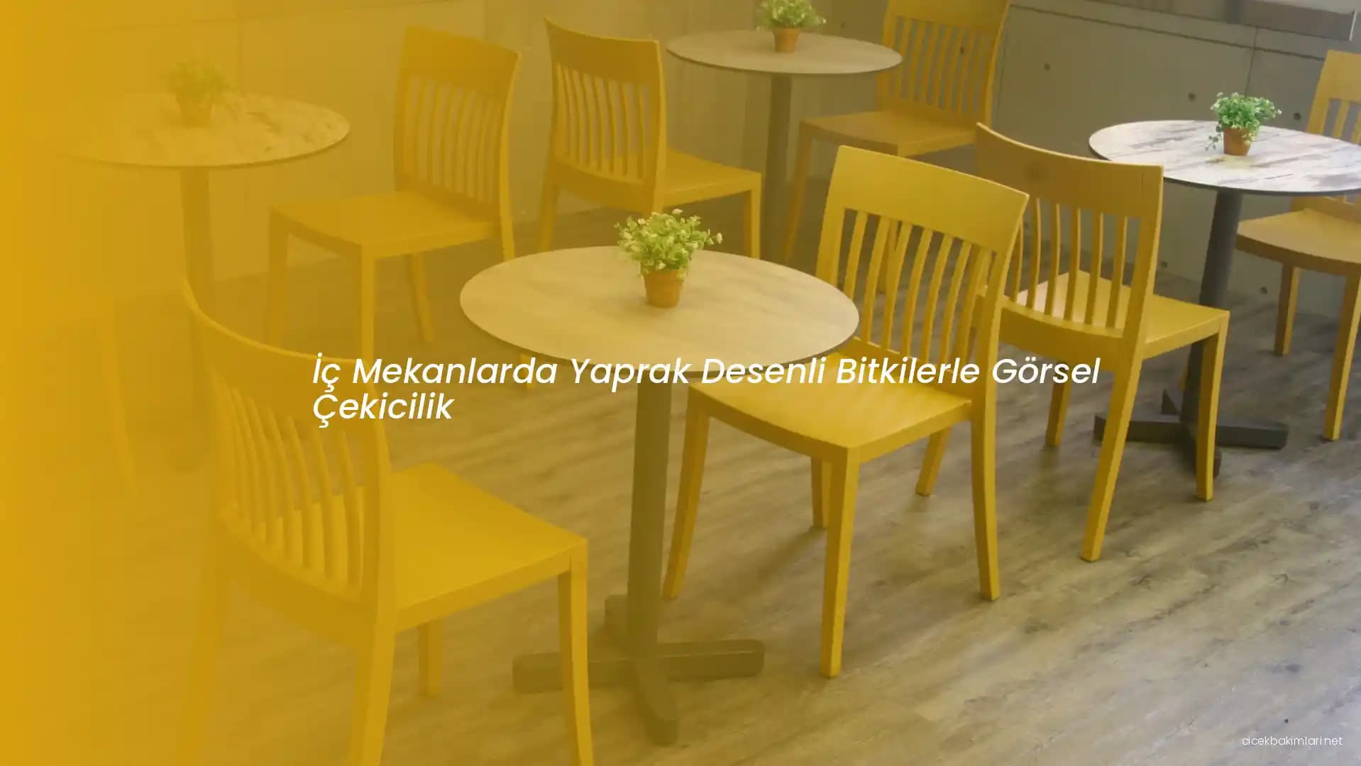 İç Dekorasyonda Çiçeklerin Rolü ve Mekâna Katkıları