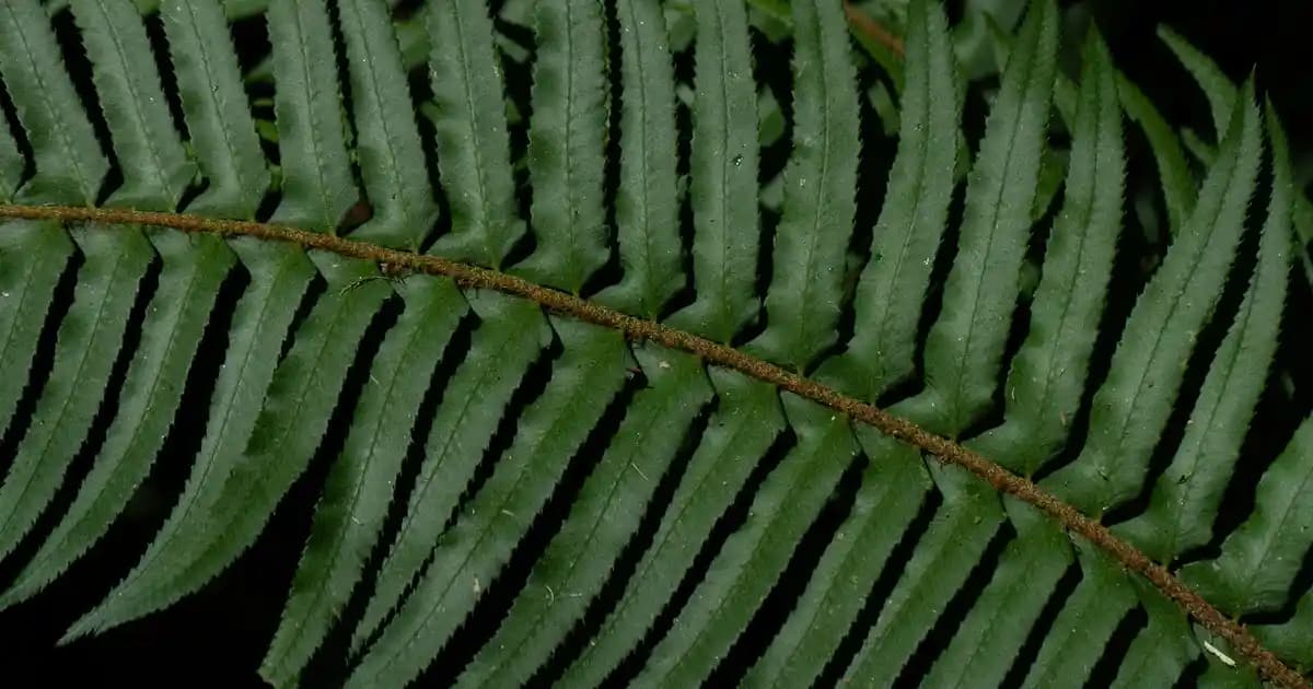 İç Mekan Tasarımında Dekorasyon ve Konforun En İyi Uyumunu Sağlama Yöntemleri