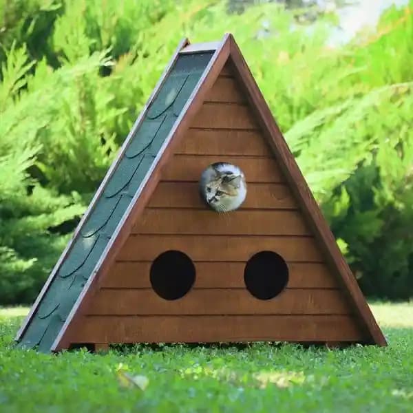 Kedi Evi Modelleri ve Seçim Rehberi: Kediniz İçin En Uygun Evi Nasıl Seçersiniz