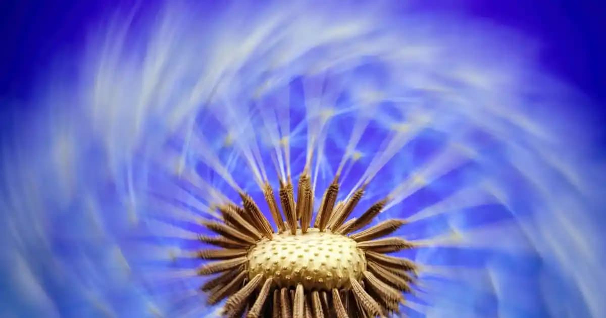 Lisa Bebek Odası Takımı Fiyatları ve Seçim Kriterleri Hakkında Bilgiler