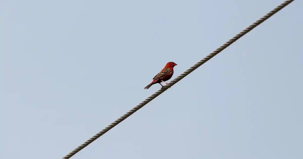 Modern Banyolar İçin Uygun Multistore Banyo Havlulukları Çeşitleri ve Tasarım Seçenekleri
