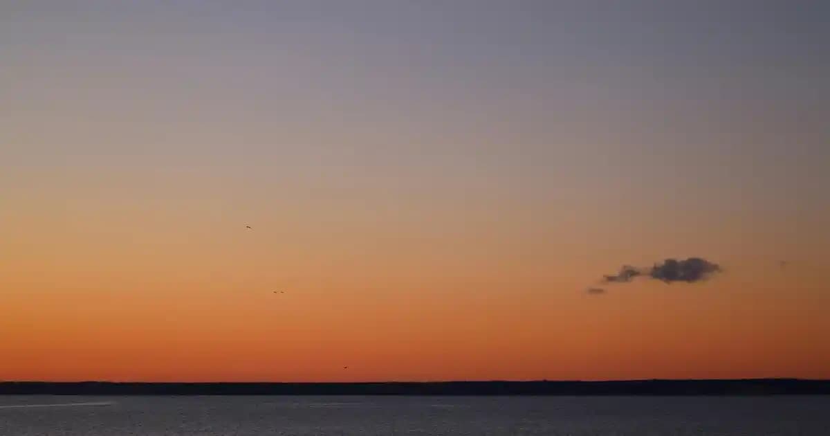 Modern Tasarım Kek Fanusu: Estetik ve Fonksiyonelliğin Buluşması