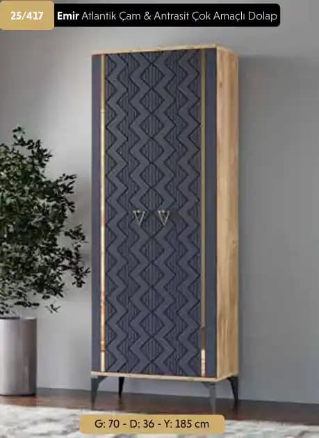 Modern ve Dekoratif Dolaplar: Estetik ve İşlevselliğin Birleştiği Ev Mobilyaları