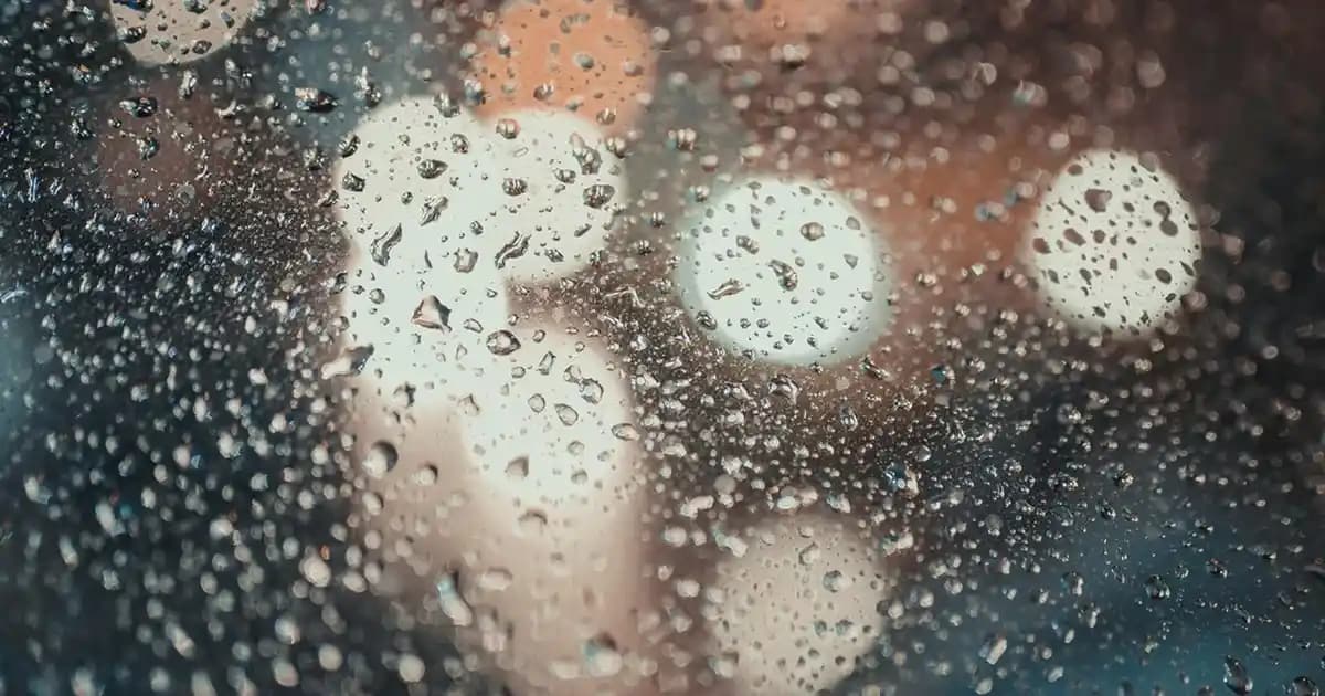 Plastik Ev Dekorasyon Ürünleri: Modern ve Pratik Çözümlerle Şık Yaşam Alanları