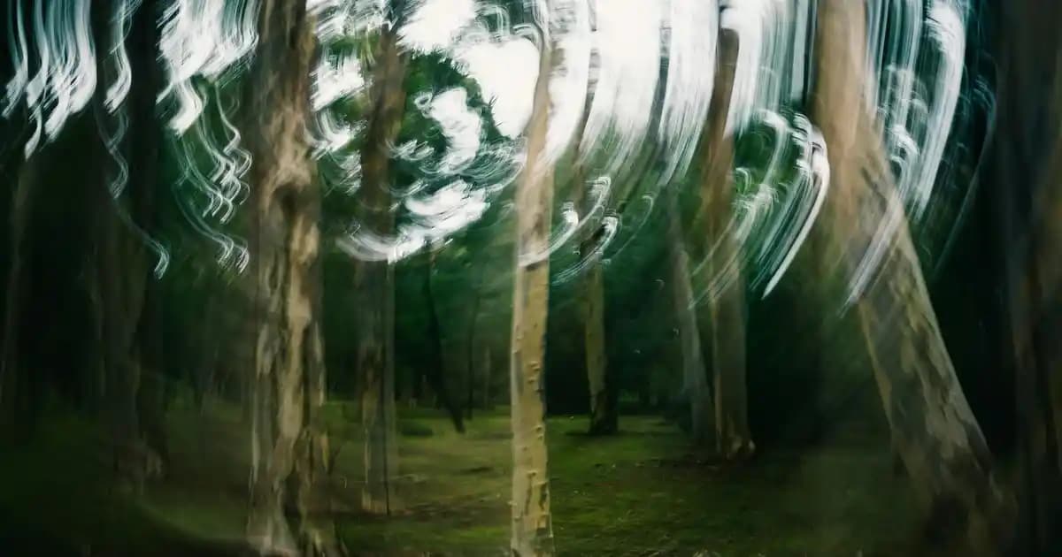 Sakinlik ve Huzur İçin Doğal ve Sade Ev Dekorasyonu İpuçları