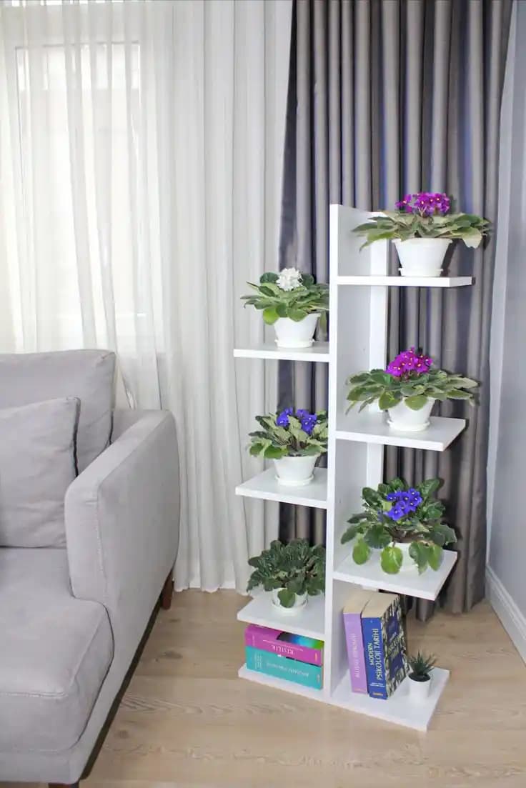 Saksılık Seçenekleri ve Mekan Düzenlemedeki Estetik Rolü Hakkında Kapsamlı Rehber