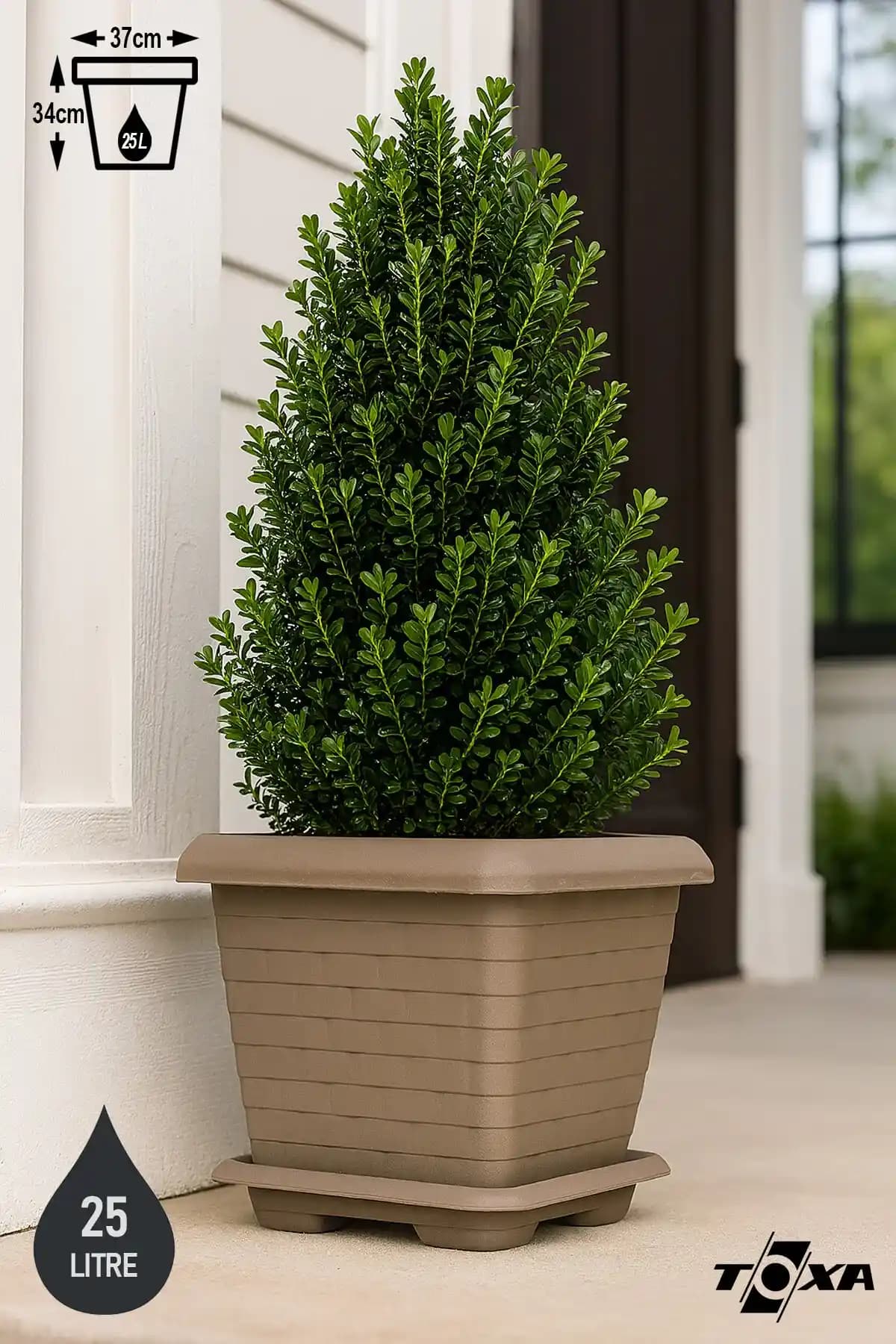 Şık ve Kullanışlı Toxa Saksı Seçenekleri ile Ev Dekorasyonunuza Zarif Dokunuşlar