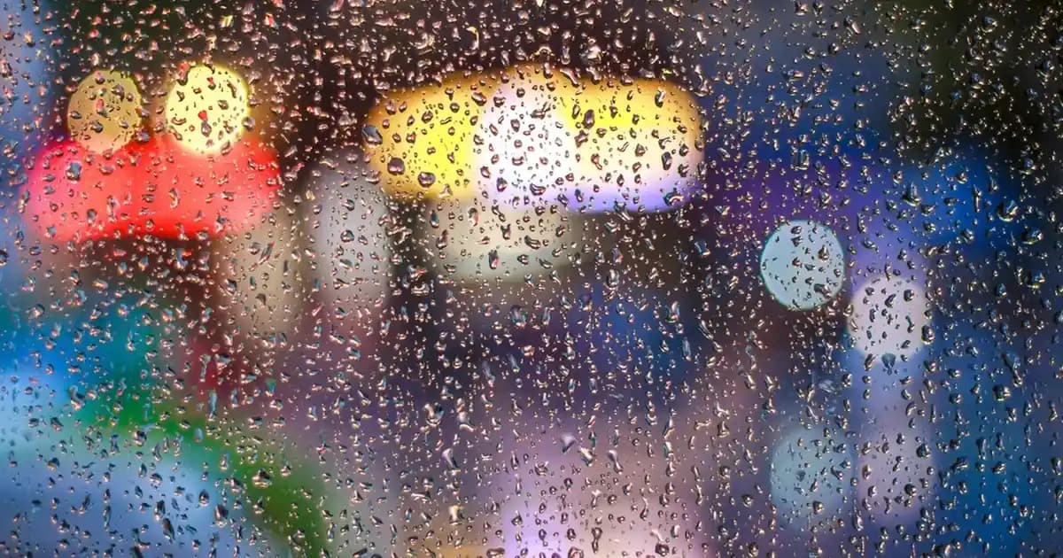 Vestiyer ve Ayakkabılık Seçenekleri: 4 Bölmeli Modellerle Giriş Alanlarınızı Düzenleyin