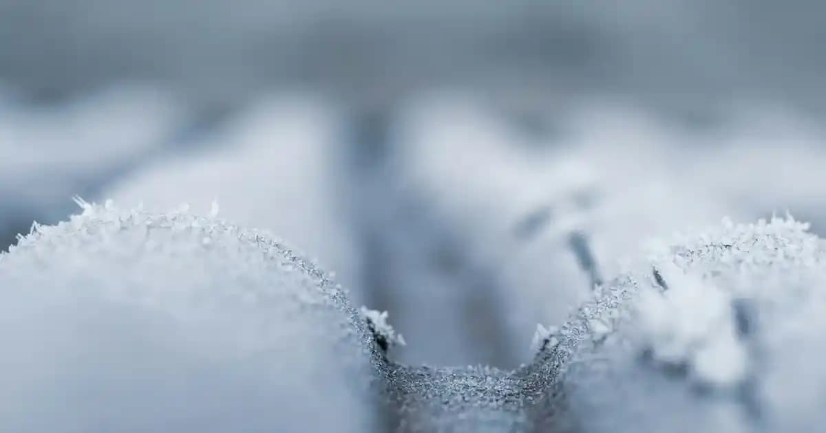 Zarif ve Dayanıklı Servis Tabağı Seçimi: Estetik ve Fonksiyonellik Rehberi