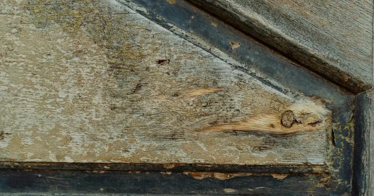 Çini Aynalar ile Dekorasyonda Geleneksel ve Modern Tasarımların Şık Buluşması