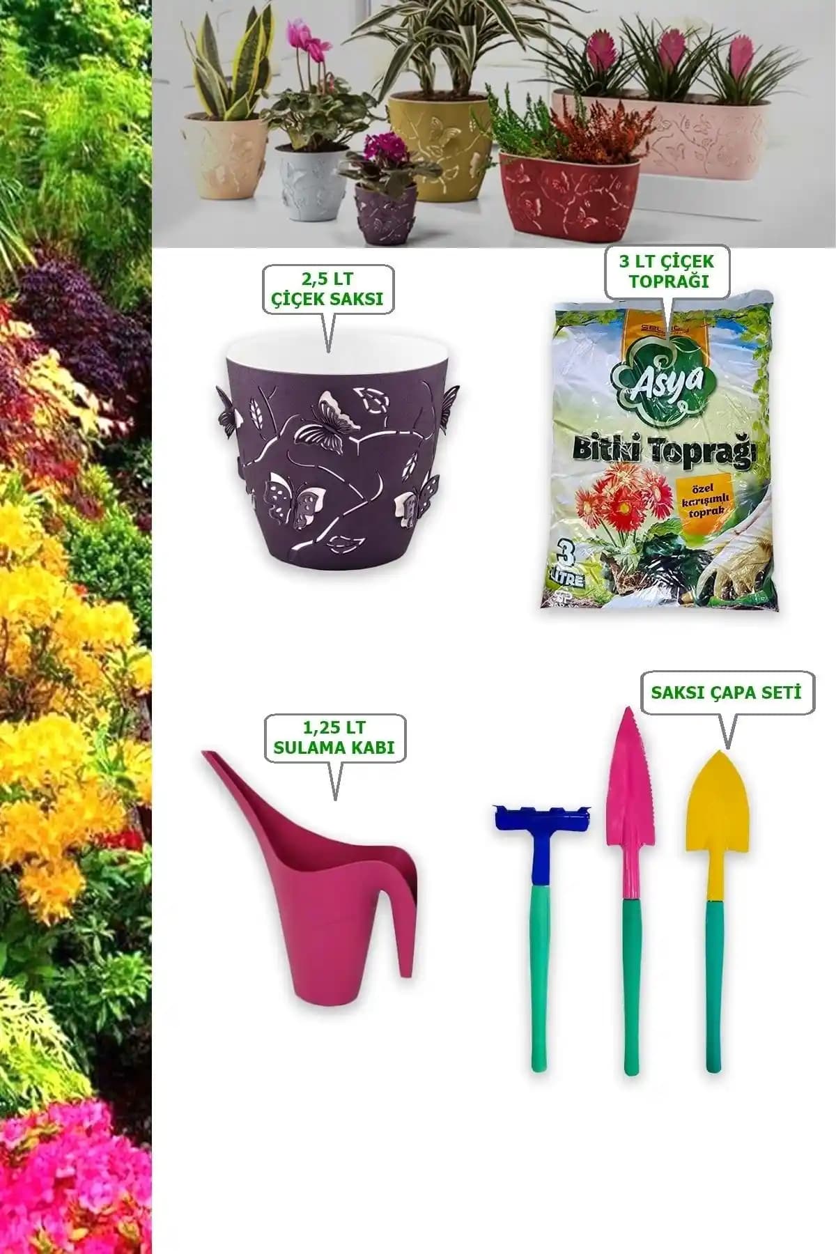 Dekorasyonda Şık ve Doğal Dokunuşlar İçin Saksı Setleri Seçenekleri ve Bakım İpuçları