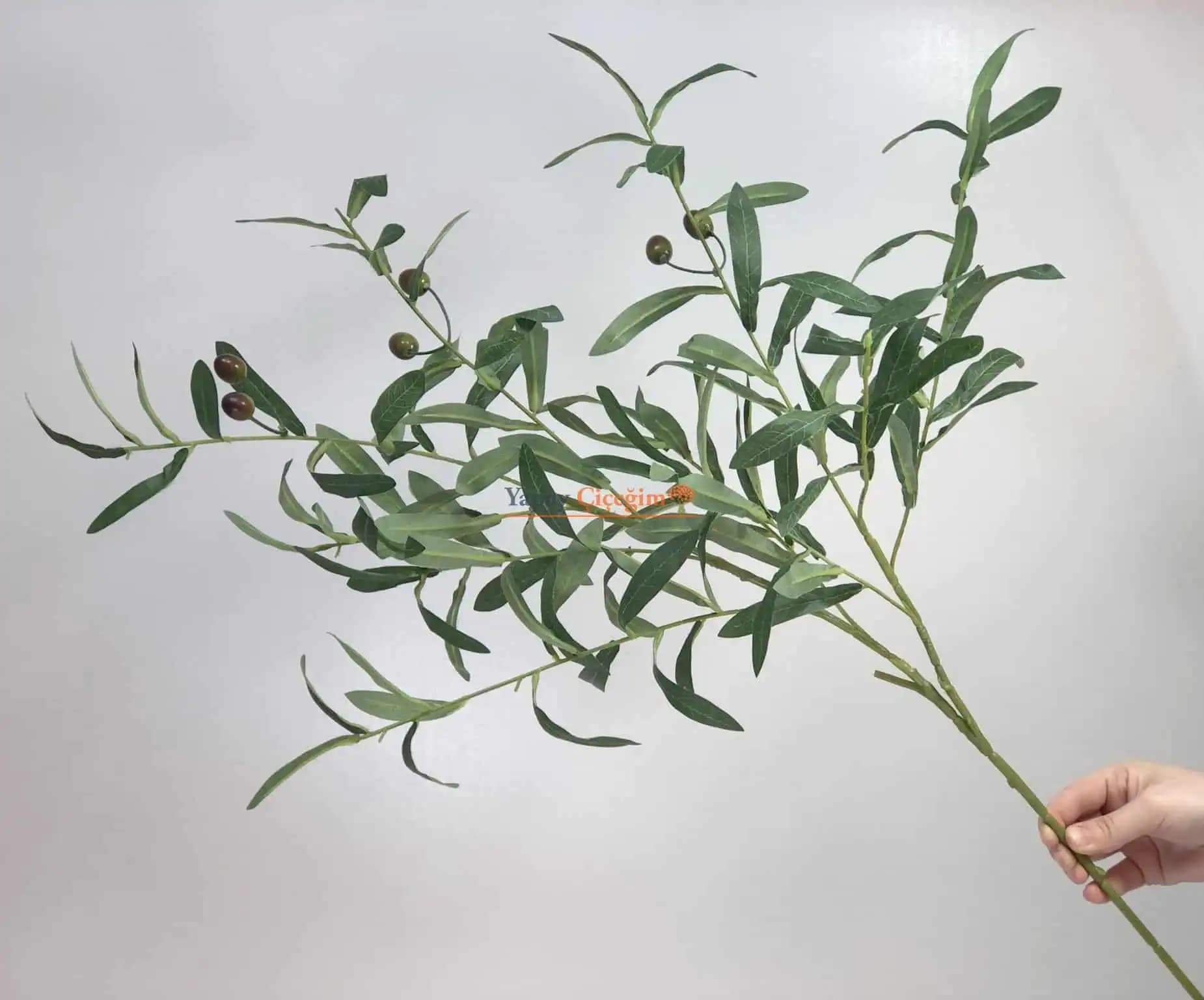 Dekorasyonda Zeytin Dalı Kullanımı: Doğal ve Şık Bir Dekorasyon Seçeneği